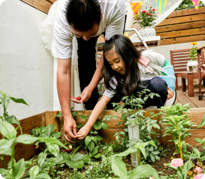Photo of a man and a young girl next to him, both leaning over a small garden of plants on the ground. The man and the girl have their arms stretched out to pick a berry off one of the plants together